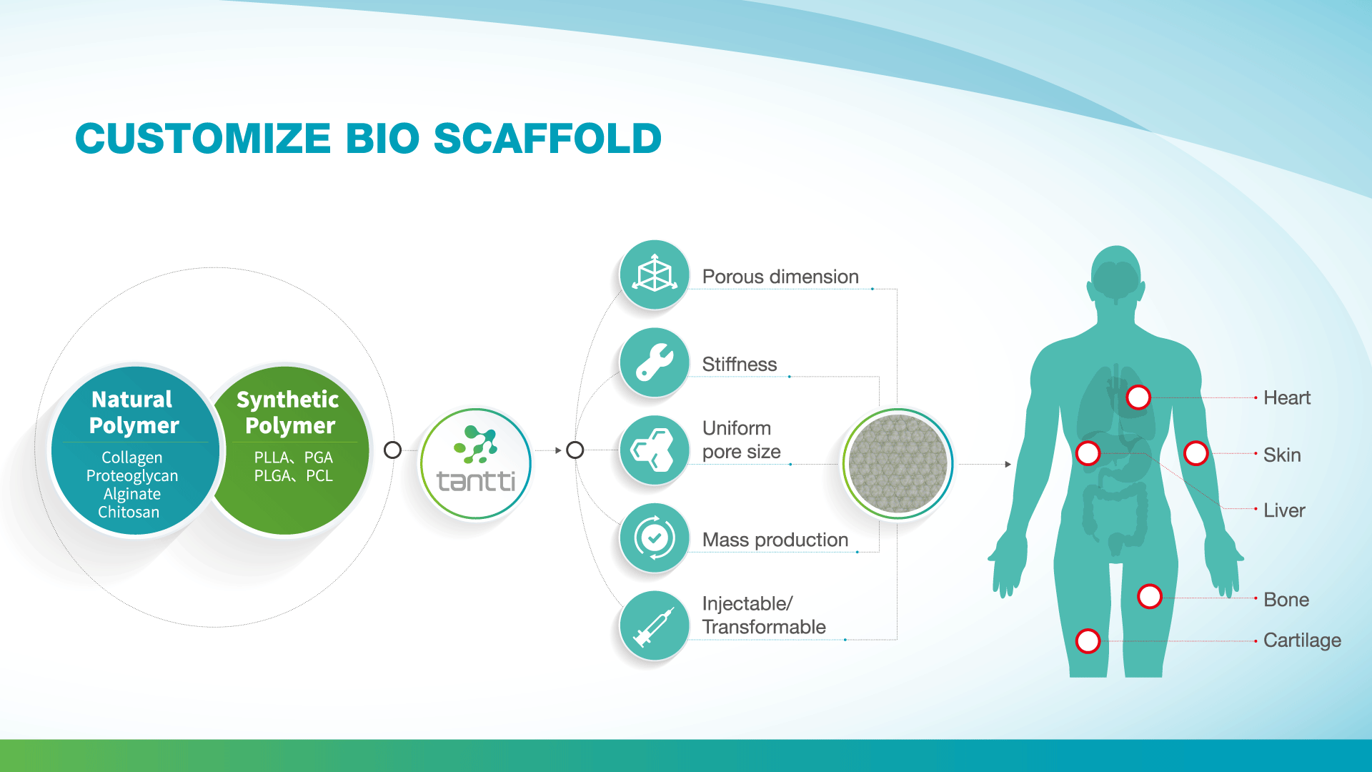 Bio-scaffold-material.gif