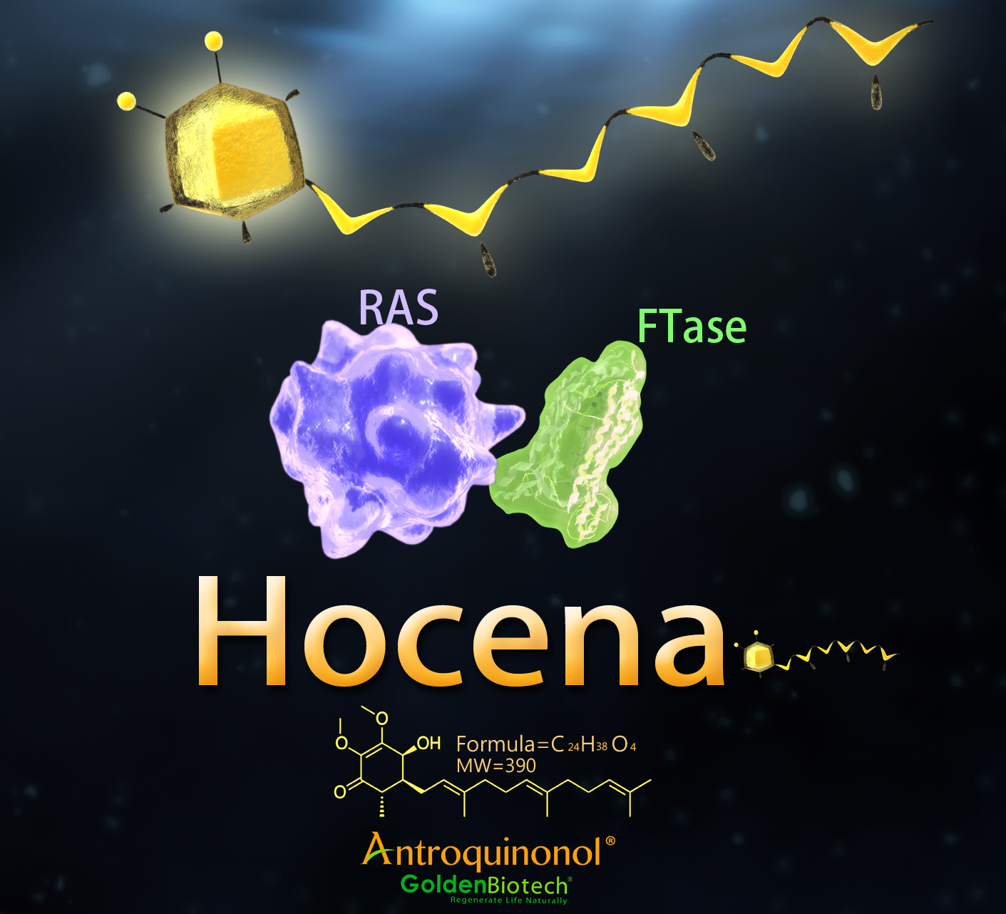 Hocena.png