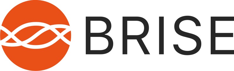 BRISE logo.jpg