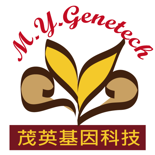 Mao-Ying-Genetech-logo_Script-MT-Bold_2_600pixels.png