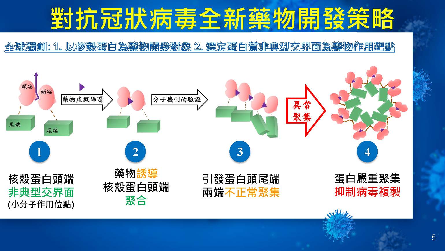 N protein - 侯明宏.jpg