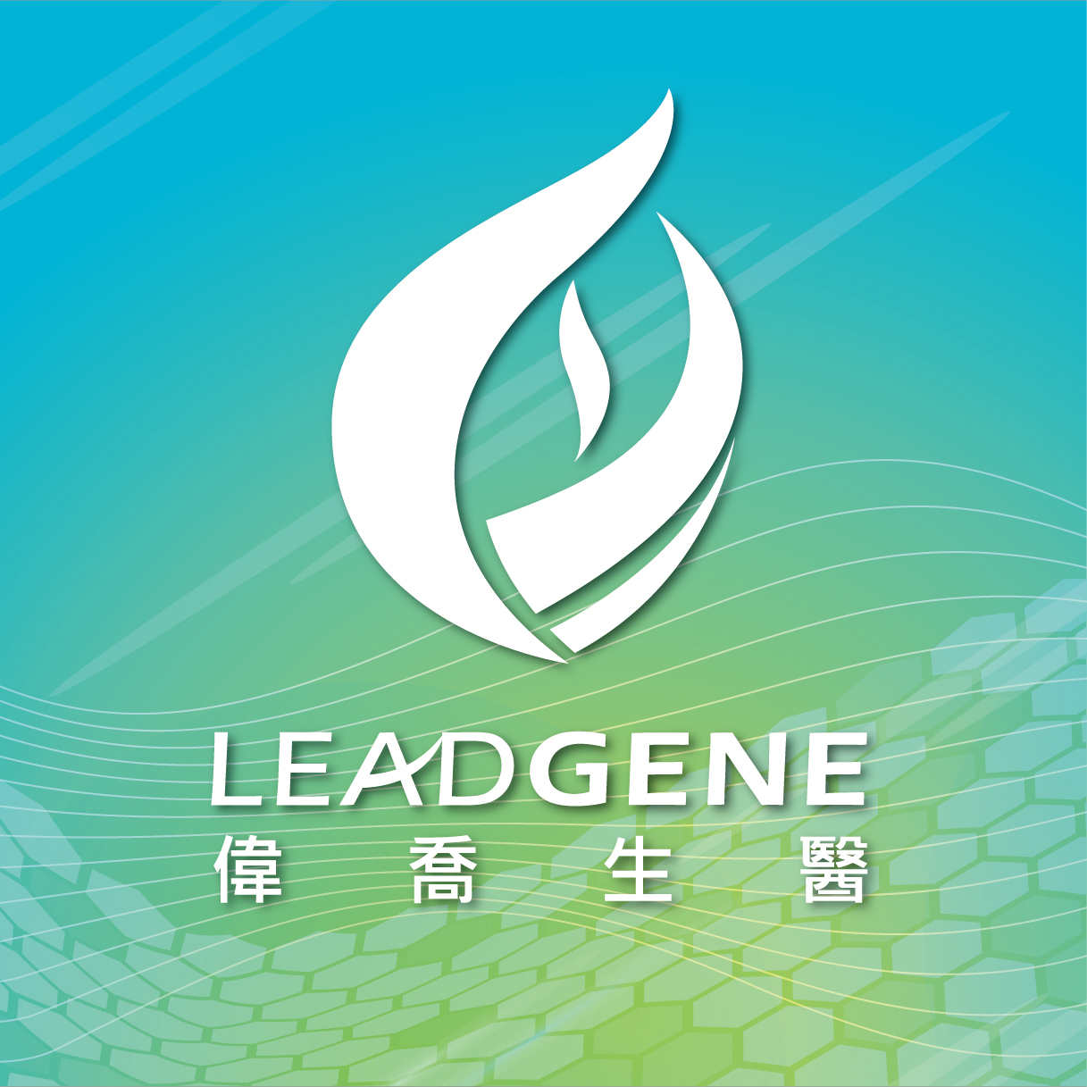 Leadgene-Logo for google gmail.jpg