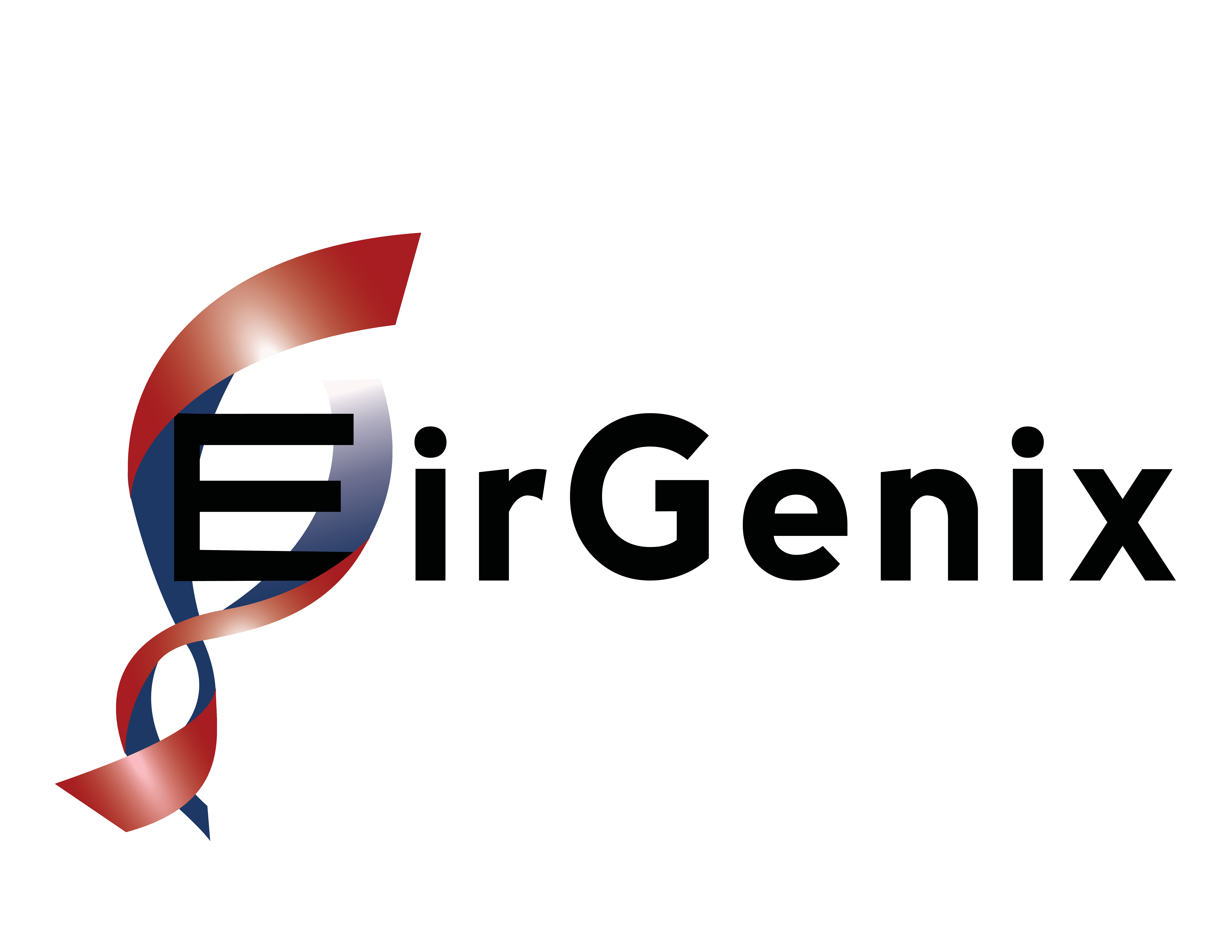 EirGenix_Logo Only.png