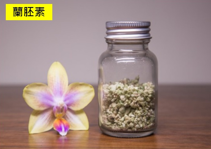 蘭胚素.jpg
