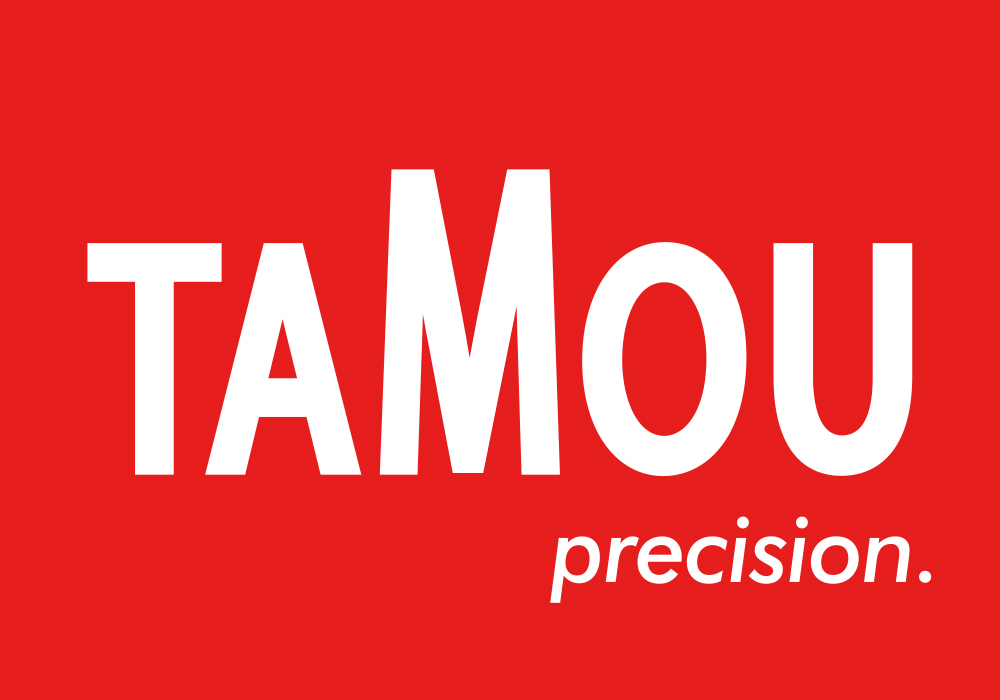 2011 TaMou precision Logo.jpg