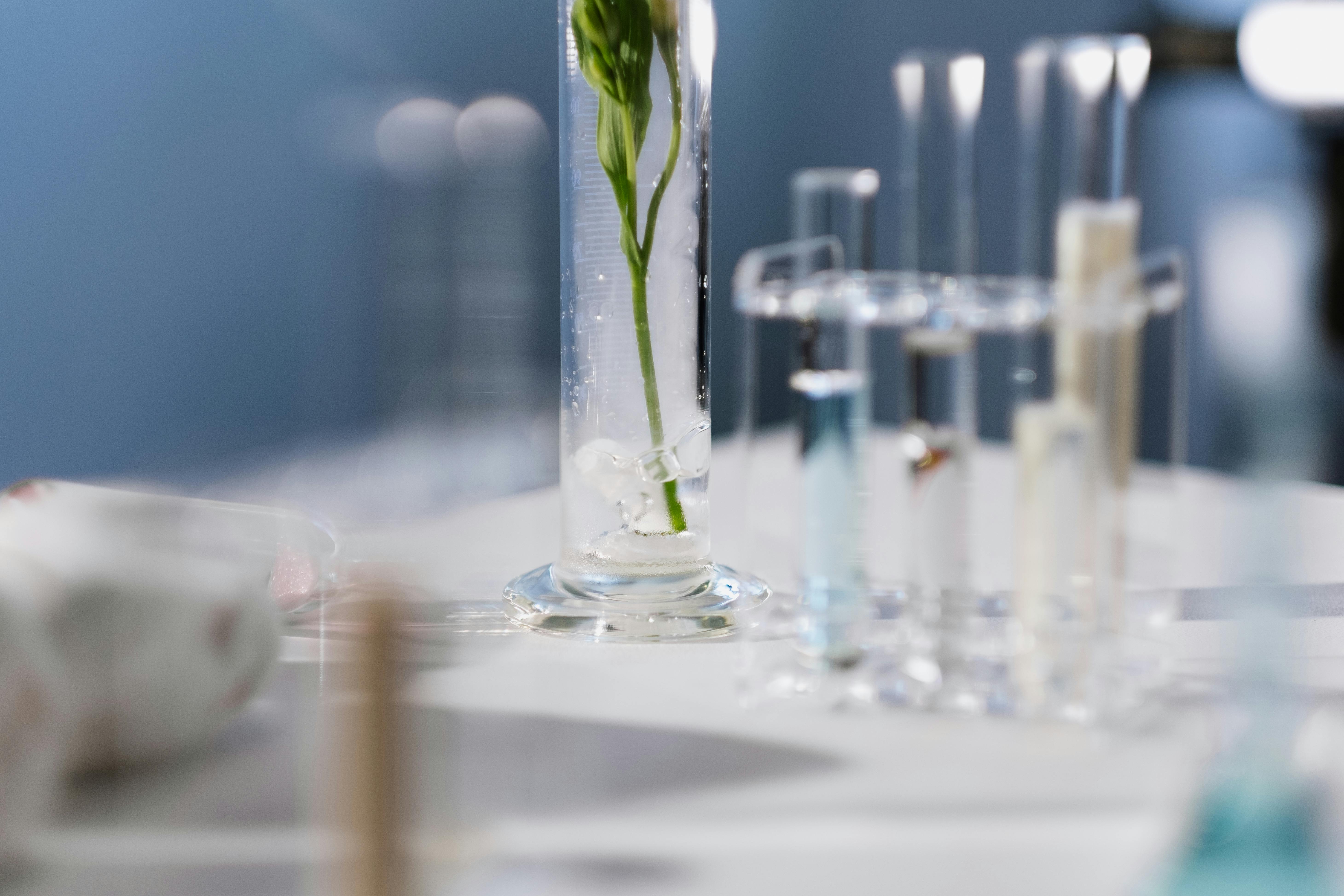 馬來西亞_ALLCELL.jpg