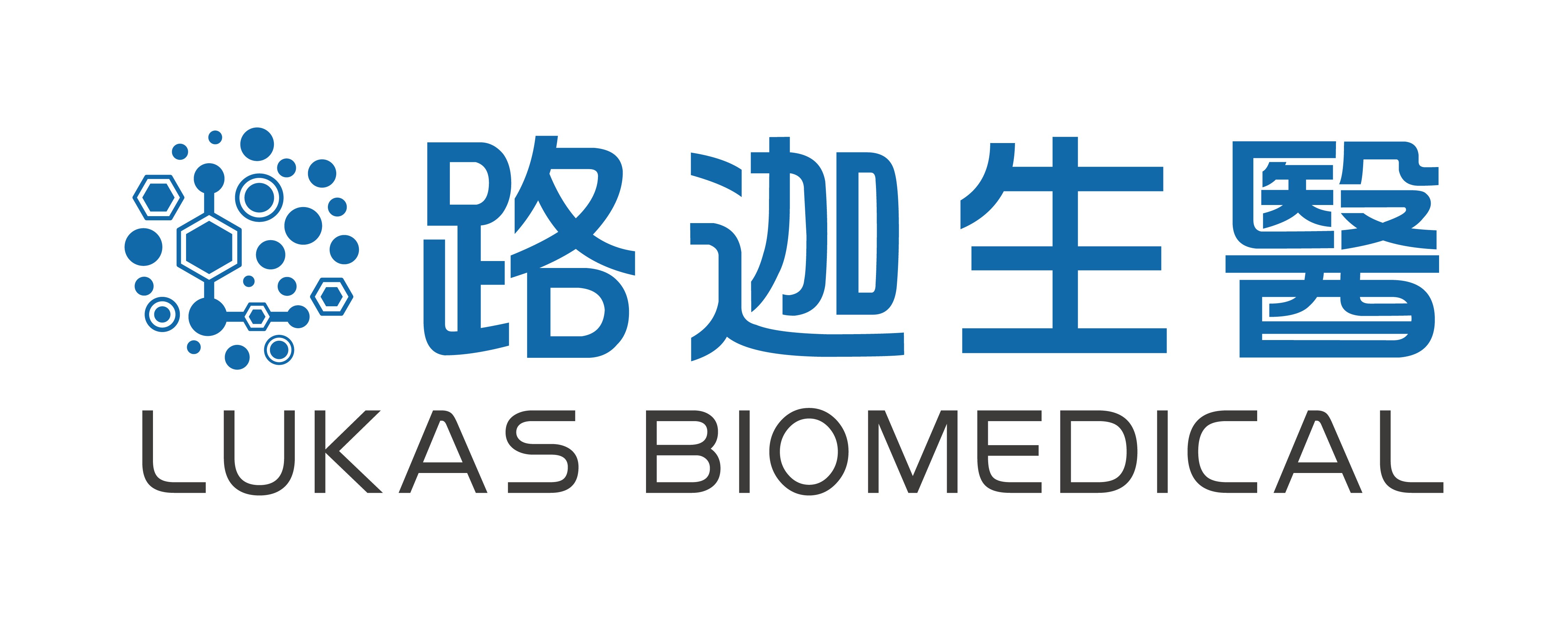 路迦生醫_確認版LOGO_02.png