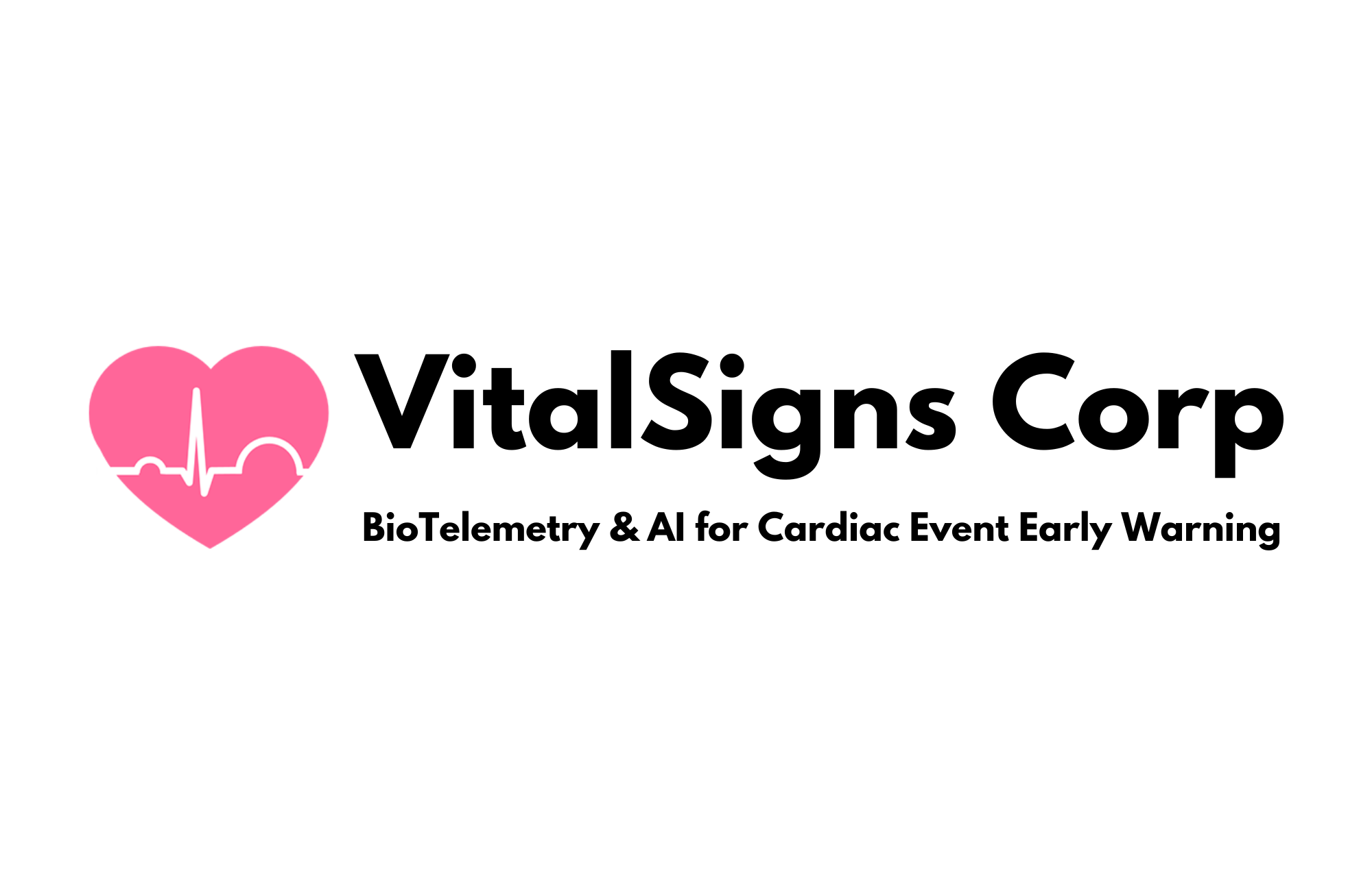 vs_logo_2025.png